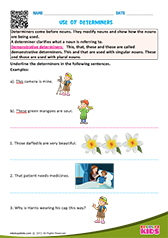 Demonstrative Determiners