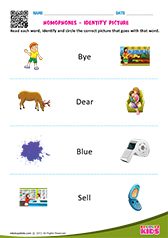 Homophones-Identify Pictures