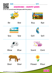 Homophones-Identify Words