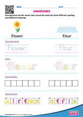 Trace and Color - Homophones