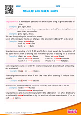 Singular and Plural Nouns