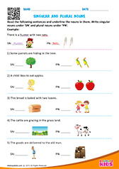 Singular and Plural Nouns